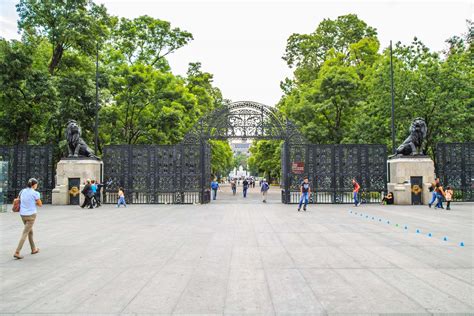 Top 41 Imagen Entrada Leones Chapultepec Abzlocal Mx