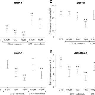 The Effect Of Celecoxib And Indomethacin On The Phosphorylation Of NF