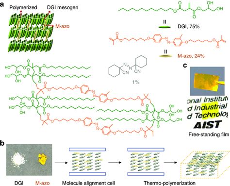 Schematic Representations Of Molecular Structures And Their Packing