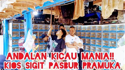 Andalan Kicau Mania Kios Sigit Pasbur Pramuka Youtube