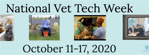 October 11 to 17 is National Vet Tech Week, saluting technicians