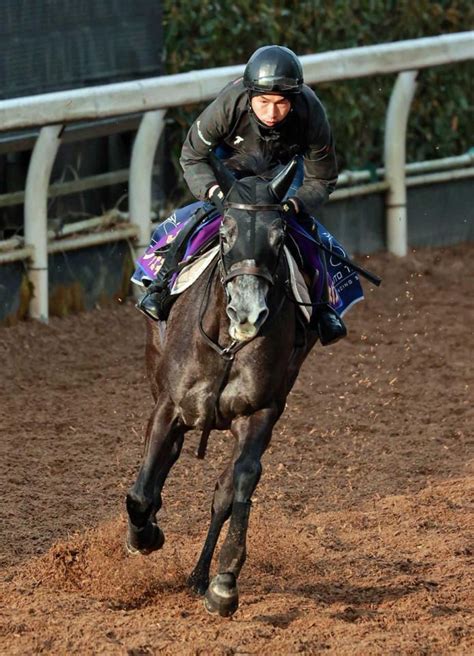 【ドバイsc】クロノジェネシス完成期 有馬前と変わらぬ仕上がり！万全の態勢で挑む競馬・レースデイリースポーツ Online