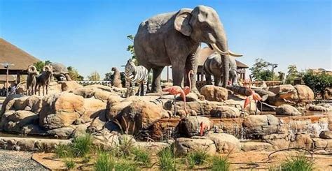 Sharjah Safari Park in the United Arab Emirates has been opened to the ...