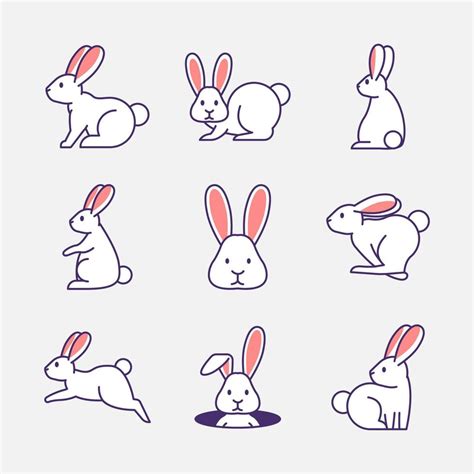 Rabbit Icon Set 14963141 Vector Art At Vecteezy