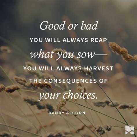 Reap What You Sow Quotes Bible Shortquotes Cc