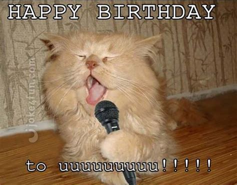 Cat Birthday Memes That Are Way Too Adorable Sayingimages