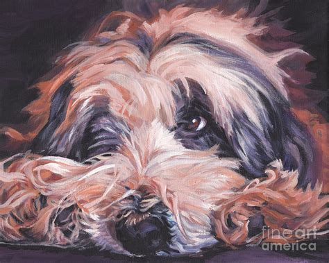 Bearded Collie Painting By Lee Ann Shepard Fine Art America