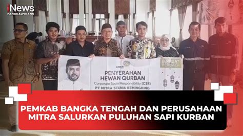 PEMKAB BANGKA TENGAH DAN PERUSAHAAN MITRA SALURKAN PULUHAN SAPI KURBAN