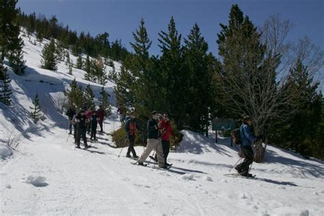 Raquetas De Nieve Por El Parque Natural Del Alto Pirineo Desde Espot