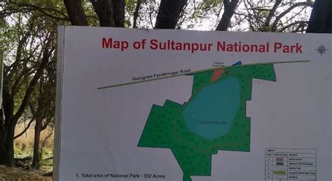 Sultanpur Bird Sanctuary - Discover India