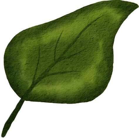 Hoja Verde Acuarela Png