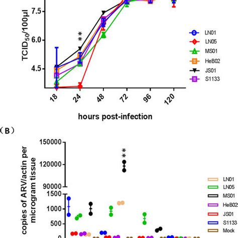 Viral Replication Of Arv Isolates And S In Vitro And In Vivo The