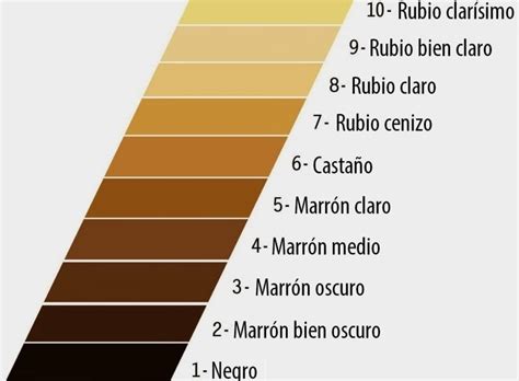 Tintes De Cabello Guía Para Entender La Numeración De Colores