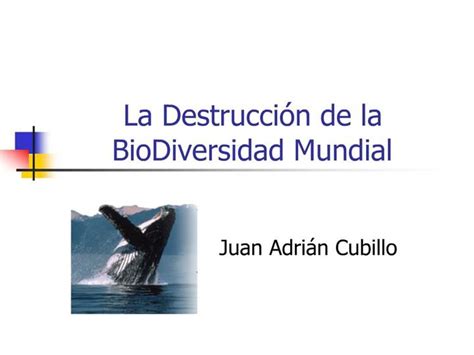 Ppt La Destrucci N De La Biodiversidad Mundial Powerpoint