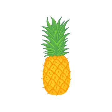 Fresh Pineapple Fruit Pineapple Tropical Fruit Fresh Fruit PNG