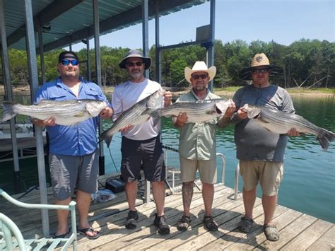 Beaver Lake Striped Bass Fishing Report Guided Striper