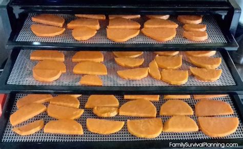 How To Prepare Dehydrate Use And Store Sweet Potatoes For Storage