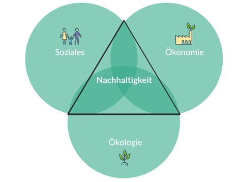 Nachhaltigkeit Was Bedeutet Das Evergreen Blog