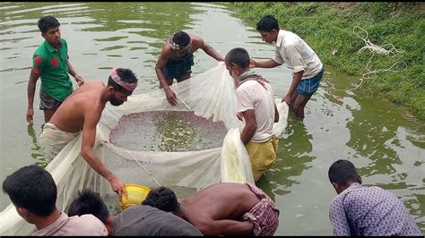 how to Star fish farming businesses রন থক শ মছ পন বকর