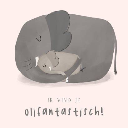 Lief Moederdagkaartje Met Moederolifant En Kind Kaartje Go