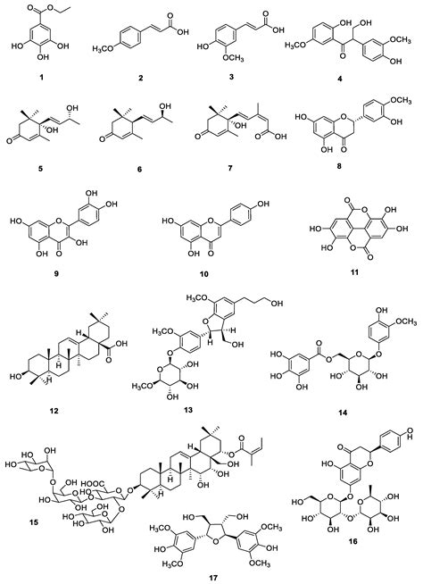 Foods Free Full Text Bioactivity Guided Isolation Of Secondary