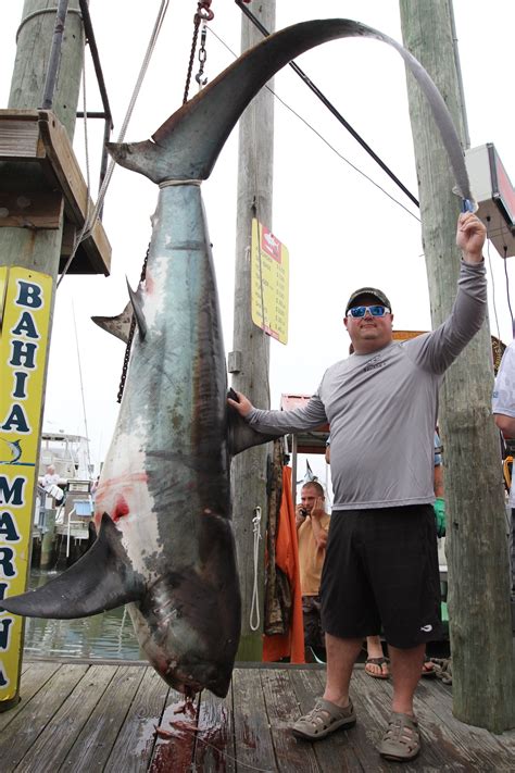 Thresher Shark Fishing