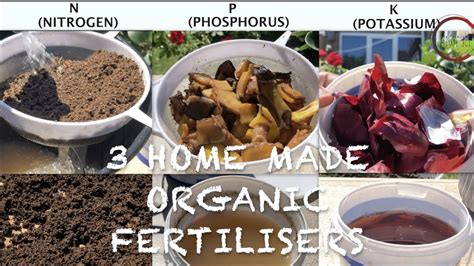 How To Make 3 Homemade Organic Fertilisers In 4 Minutes Npk Homemade Fertilizer 100