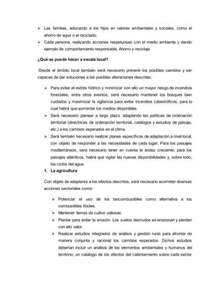 Calentamiento PDF