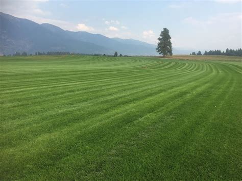 Flathead Valley Sod Farm - Sod Supplier, Sod, Landscape Supply