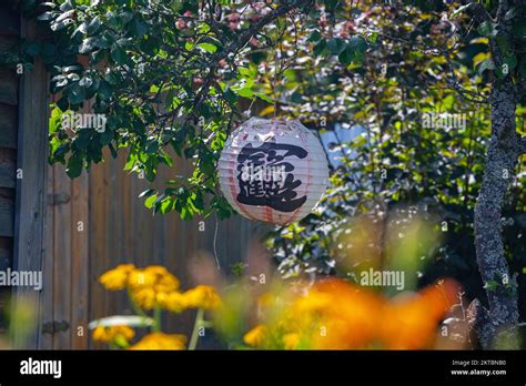 Japanese Paper Lantern Hanging On A Branch Of Thorn In The Garden Stock