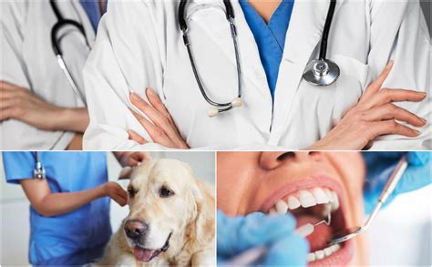 Medicina Veterinaria E Odontoiatria Finisce L Era Del Numero Chiuso