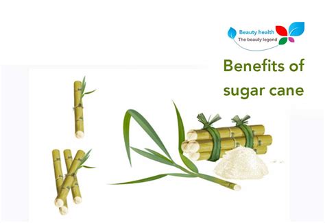 Benefits of sugar cane | 11 amazing benefits