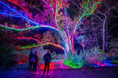 Lightscape Is The New Immersive After Dark Experience Taking Over