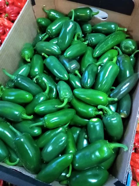 JALAPENO ZIELONA PAPRYKA ŚWIEŻA 100g 11506343542 Allegro pl