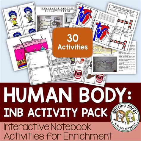 Science Interactive Notebook Human Body Systems Interactive