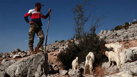 Lebanese Shepherds Accused Of Spying Along Disputed Border With Israel