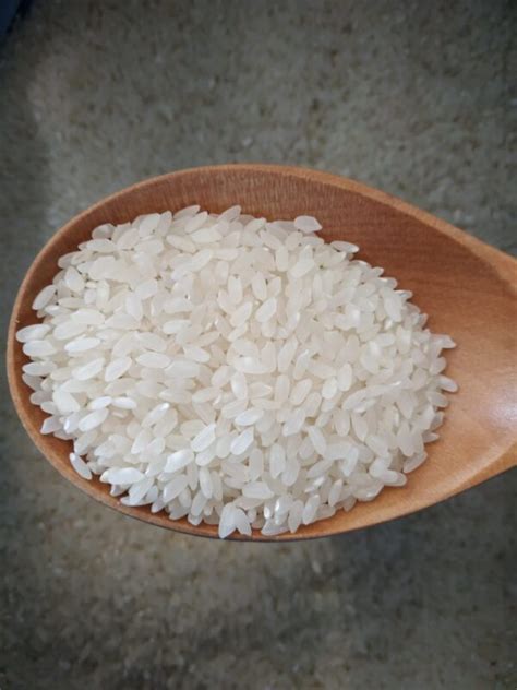 Arroz Branco Redondo A Granel Eco Bico De Grao