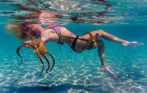 Best Snorkeling Hawaii Women Have Close Encounter With Group Of Octopuses Daily Star