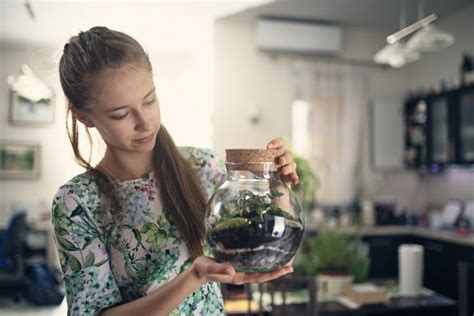 Plantes Absolument Mettre Dans Un Terrarium Mon Jardin Ma