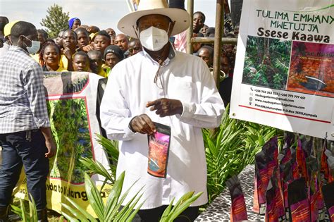 Kalangala Museveni Advises Oil Palm Growers To Diversify To Dairy