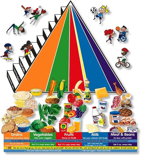 Food Pyramid for Kid – Food Pyramid