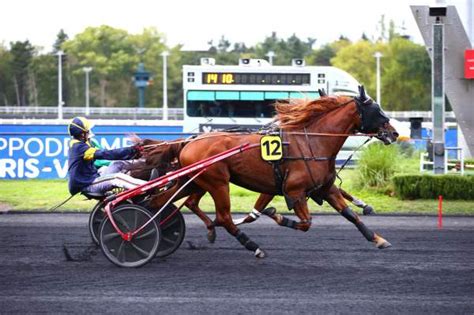 INVICTUS DE HOERDT La Fiche CANALTURF Du Cheval Performances Pmu