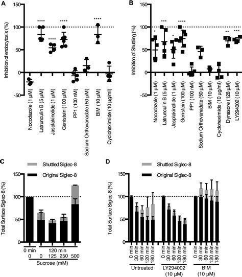 Leveraging Siglec 8 Endocytic Mechanisms To Kill Human Eosinophils And