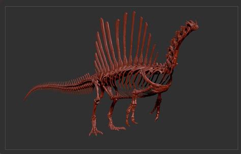 Spinosaurus Full Skeleton Sculpt Model