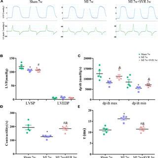 Effects Of SVR On Systolic And Diastolic Function Of LV Evaluated By