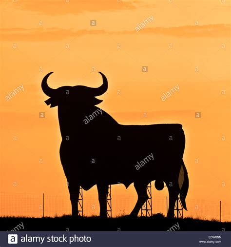 Spanish bull silhouette hi-res stock photography and images - Alamy