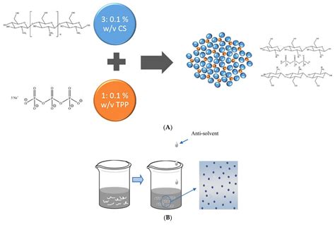 Polymers Free Full Text Biopolymeric Nanoparticlesmultifunctional Materials Of The Future