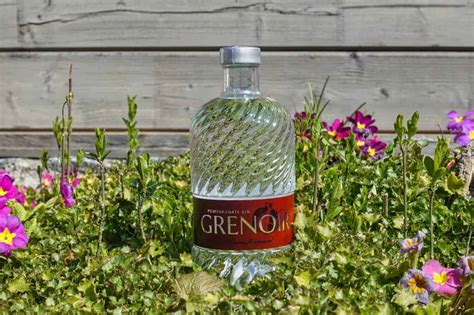 Testbericht Grenoir Gin Ginnatic Deutschlands Gr Ter Gin Blog