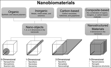 Schematic Representing The Classification Of Nanobiomaterials According