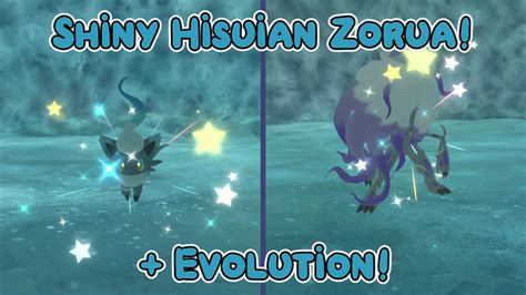 Live Shiny Hisuian Zorua Evolution Pokemon Legends Arceus Youtube